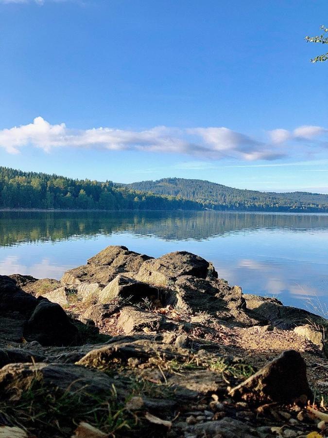 Apartman Riviera 41 Lipno nad Vltavou Buitenkant foto